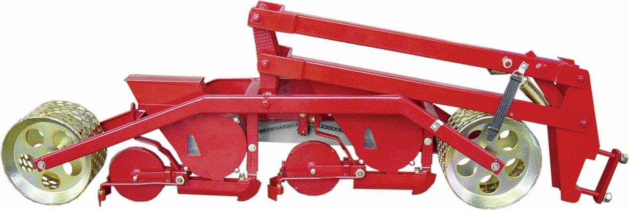 kruk dwurzedowy kopia