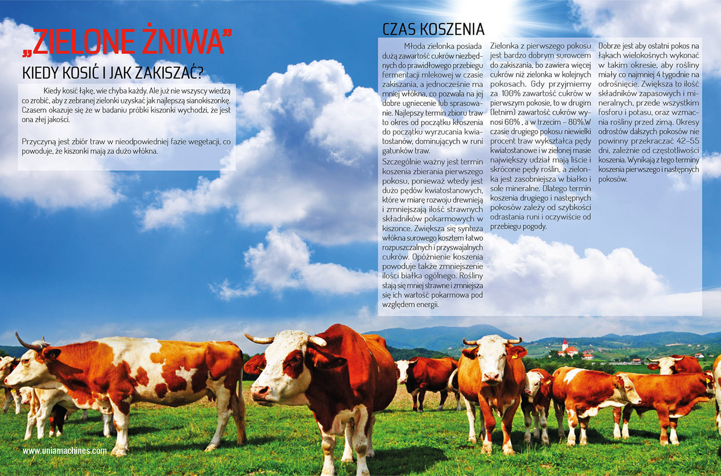 ARTYKUŁ KOSZENIE I KISZENIE2