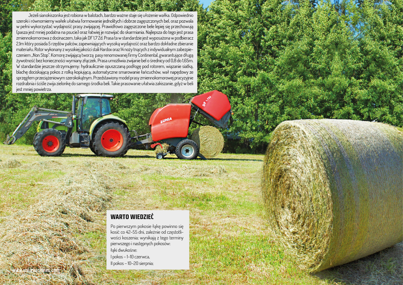 ARTYKUŁ KOSZENIE I KISZENIE4