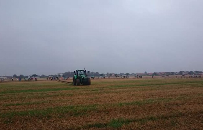 14333814_633800876787141_2914985002660014709_n